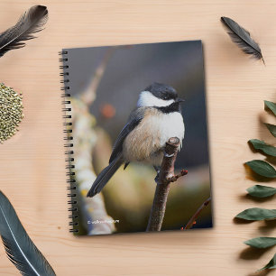 Cute Black-Caps Chickadee på Gren Anteckningsbok