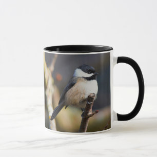 Cute Black-Caps Chickadee på Gren Mugg