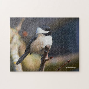 Cute Black-Caps Chickadee på Gren Pussel