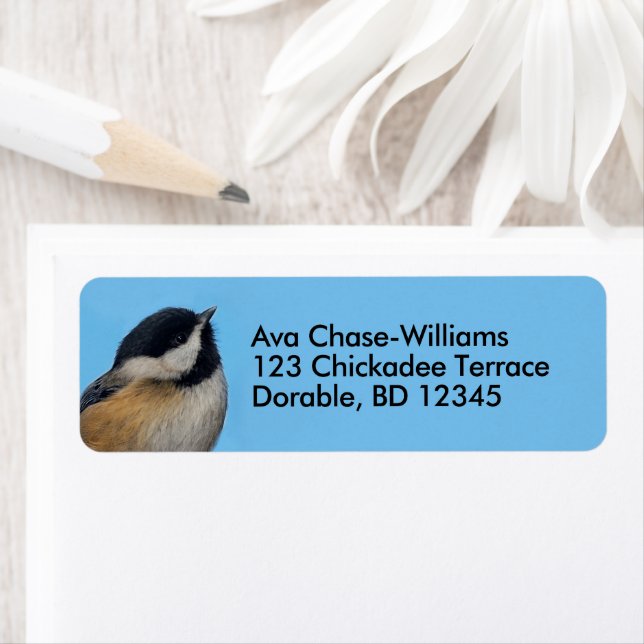 Cute Black-Caps Chickadee på Pear Träd Returadress Etikett (Insitu)