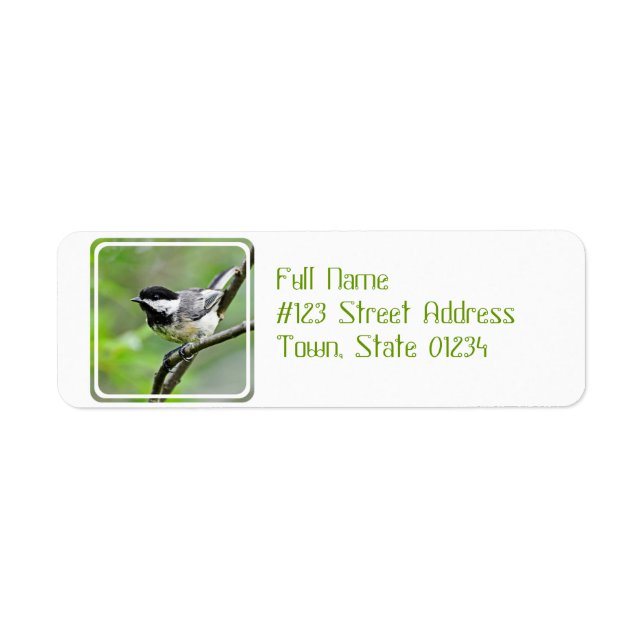 Cute Black Caps Chickadee Returadress Etikett (Framsidan)