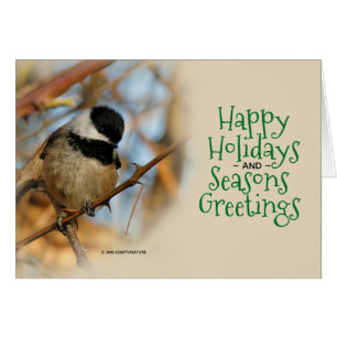 Cute Black-Caps Chickadee Songbird-jul Hälsningskort