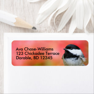 Cute Black-Caps Chickadee Songbird på Apple Träd Returadress Etikett
