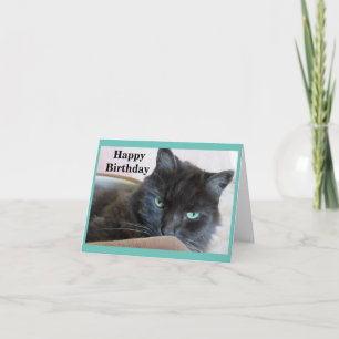 Cute Black Cat Birthday Kort