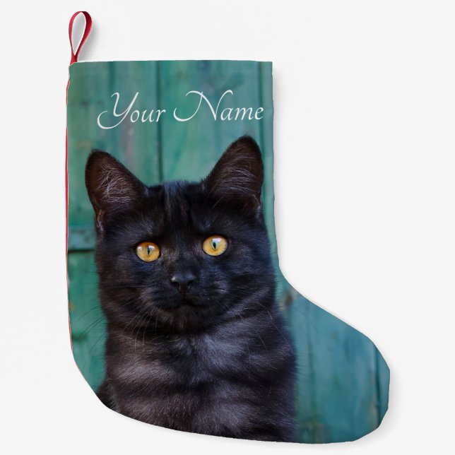 Cute Black Cat Kitten med Blue Door Photo - Namn Liten Julstrumpa (Framsidan)