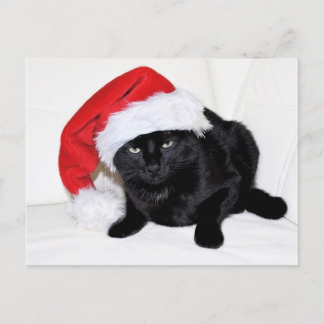 Cute Black Cat med Santa Hat Vykort (Framsida)