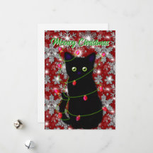 Cute Black cat Meowy jul