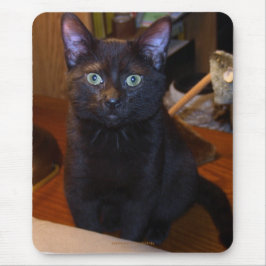 Cute Black Cat Mousepad Musmatta