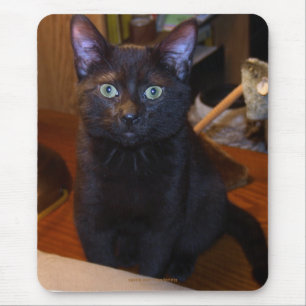 Cute Black Cat Mousepad Musmatta
