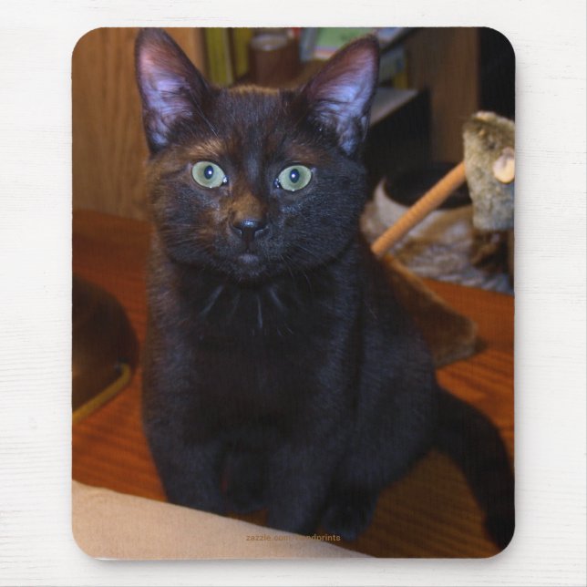 Cute Black Cat Mousepad Musmatta (Framsidan)