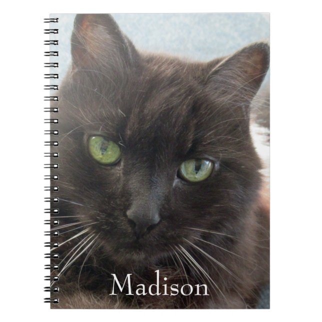 Cute Black Cat Photo Personlig Namn Anteckningsbok (Framsidan)