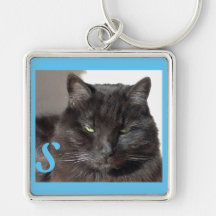 Cute Black Cat Photo Turcos Personlig