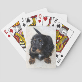 Cute Black Dachshund Puppy Hund Casinokort