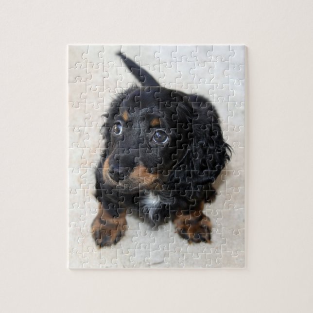 Cute Black Dachshund Puppy Hund Jigszle Puzzle Pussel (Vertikal)