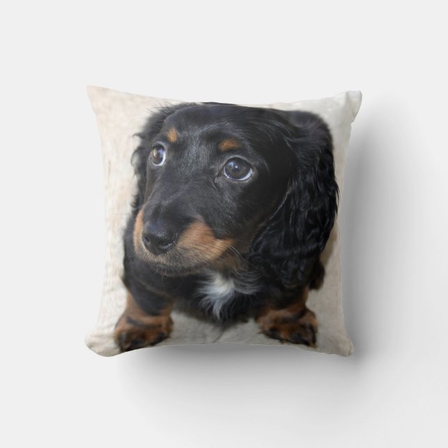 Cute Black Dachshund Puppy Hund Kudde (Framsida)