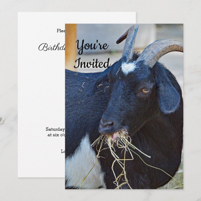 Cute Black Goat Photo Birthday Inbjudningar (Fram/baksida)