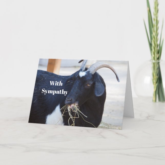 Cute Black Goat Photo Sympathy Kort (Framsida)