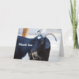 Cute Black Goat Photo Tack Kort