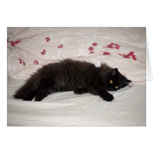 Cute Black Kitten Hälsningskort
