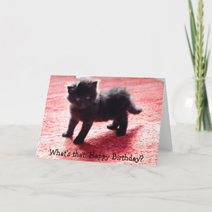 Cute Black Kitten - roligt födelsedagskort Kort