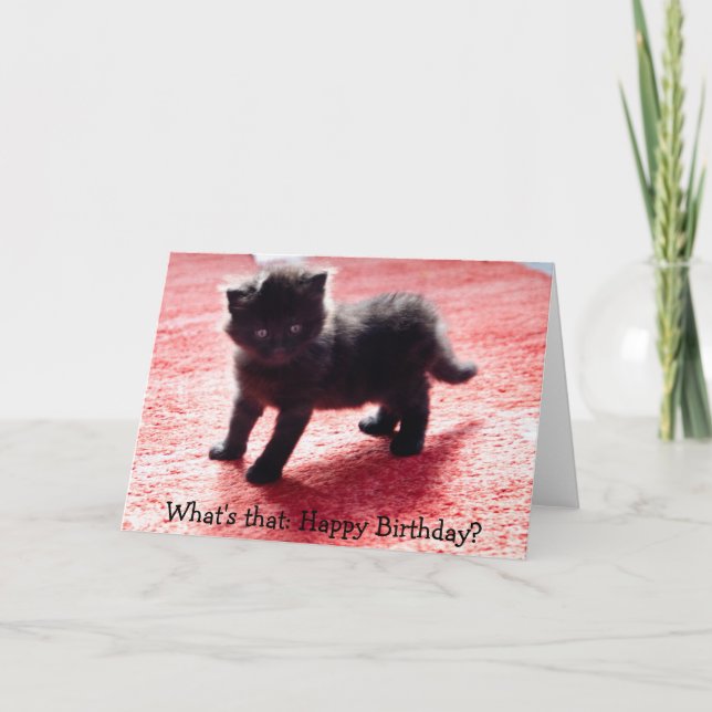 Cute Black Kitten - roligt födelsedagskort Kort (Framsida)