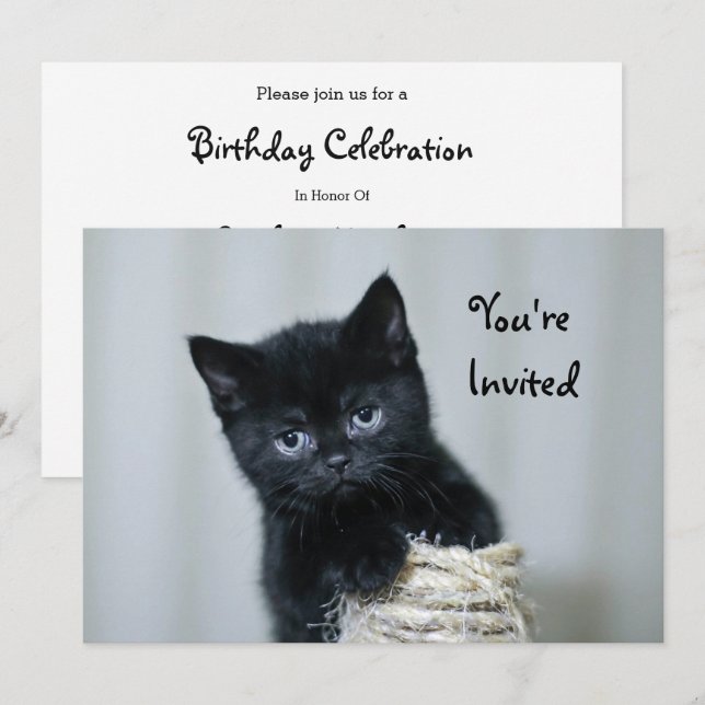 Cute Black Kitten Twine Photo Birthday Inbjudningar (Fram/baksida)