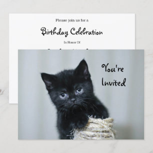 Cute Black Kitten Twine Photo Birthday Inbjudningar
