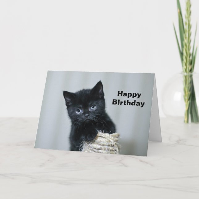Cute Black Kitten Twine Photo Birthday Kort (Framsida)