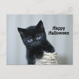 Cute Black Kitten Twine Photo Halloween Vykort