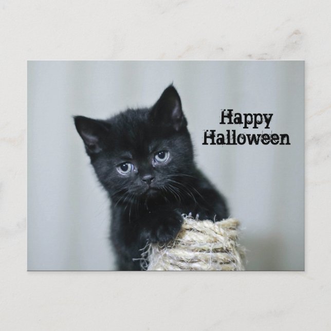 Cute Black Kitten Twine Photo Halloween Vykort (Framsida)