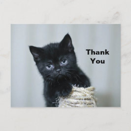 Cute Black Kitten Twine Photo Tack Vykort