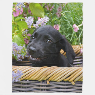 Cute Black Labrador Retriever Hund Puppy Pet Photo Fleecefilt