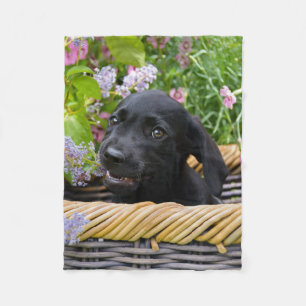 Cute Black Labrador Retriever Hund Puppy Pet Photo Fleecefilt