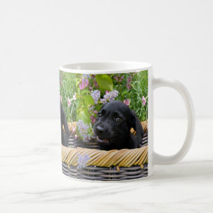 Cute Black Labrador Retriever Hund Puppy Pet Photo Kaffemugg