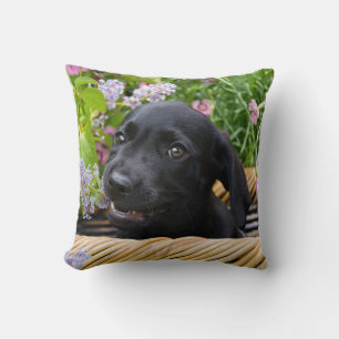 Cute Black Labrador Retriever Hund Puppy Pet Photo Kudde