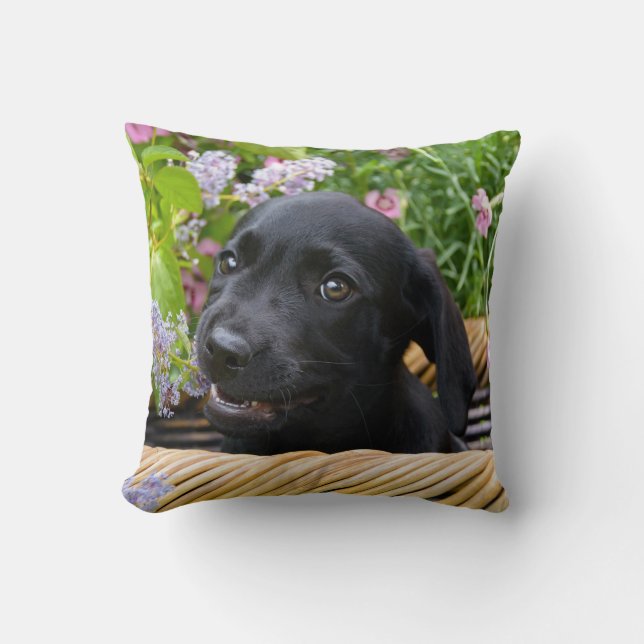 Cute Black Labrador Retriever Hund Puppy Pet Photo Kudde (Framsida)