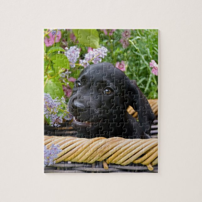 Cute Black Labrador Retriever Hund Puppy Pet Photo Pussel (Vertikal)