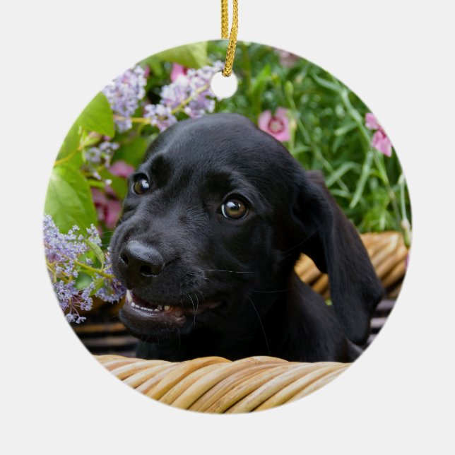 Cute Black Labrador Retriever Hund Puppy Photo ... Julgransprydnad Keramik (Framsidan)
