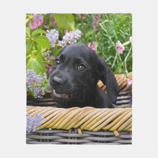 Cute Black Labrador Retriever Hund Puppy Photo on Fleecefilt (Framsidan)