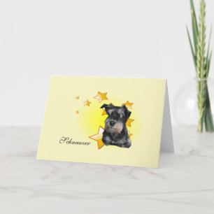 Cute Black och Silver Schnauzer är en stjärna Kort