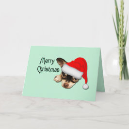 Cute Black och Tan Chihuahua Santa Hat jul Kort