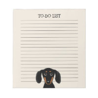Cute Black och Tan Dachshund | Wiener Hund Led