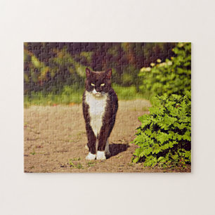 Cute Black och White Tuxedo Cat Photo Pussel