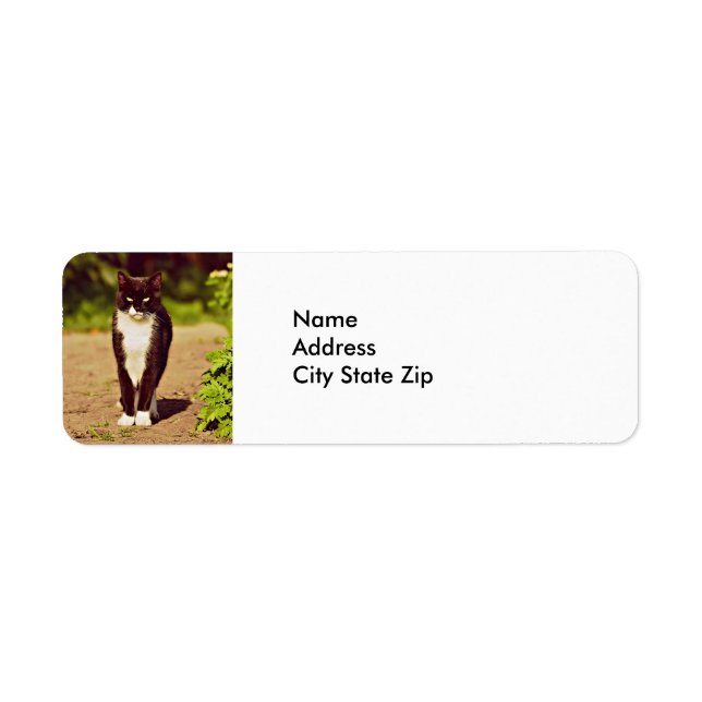 Cute Black och White Tuxedo Cat Photo Returadress Etikett (Framsidan)
