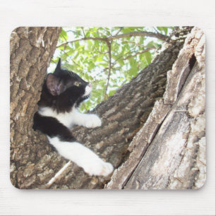 Cute Black och White Tuxedo Kitten Musmatta