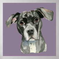 Cute Black Pit Bull Dog Watercolor Porträtt