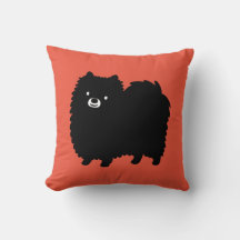 Cute Black Pommern Adsible Fluffy Hund