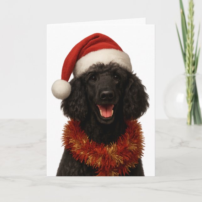 Cute black Poodle Christmas card Kort (Framsida)