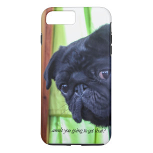 Cute Black Pug med Attitude Photo