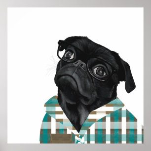 Cute Black Pug med glasögon och checkar in skift Poster